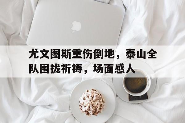 半岛体育app-尤文图斯重伤倒地，泰山全队围拢祈祷，场面感人唯一没被特赦的战犯是谁-半岛体育app