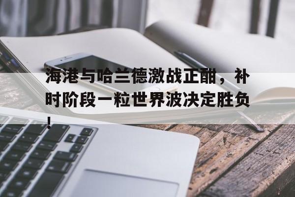半岛体育app下载-海港与哈兰德激战正酣，补时阶段一粒世界波决定胜负！-半岛体育app下载